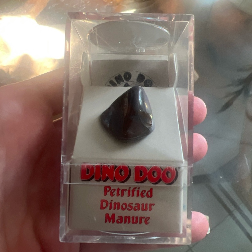 Dino Doo Petrified Dinosaur Manure